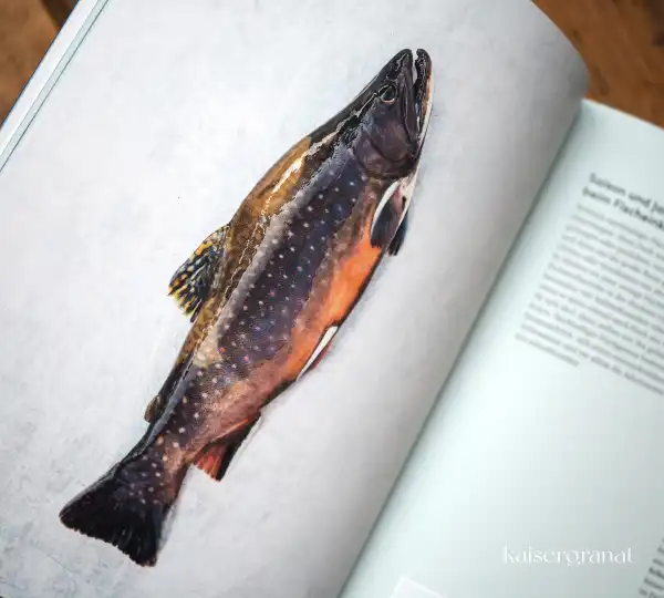 Ulmer_Fischräucherbuch Kochbuch Glut und Späne, Michael Wickert 6