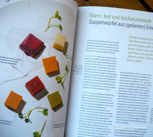 Das Kochbuch Noch mehr Kochen für Angeber von Thomas Vilgis 2