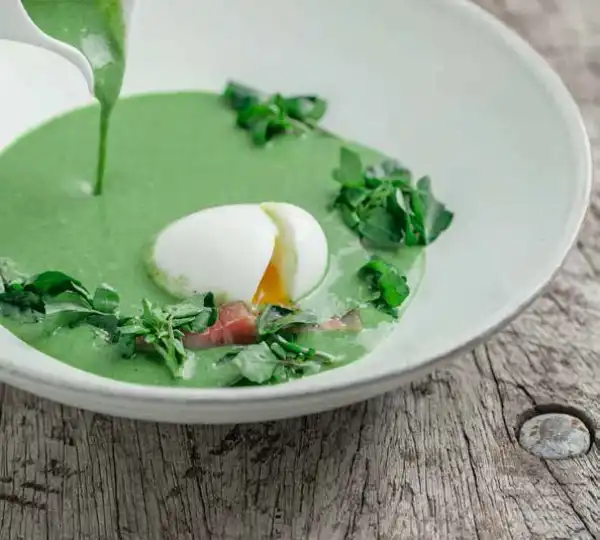 REZ 37-Brunnenkressesuppe-RGB