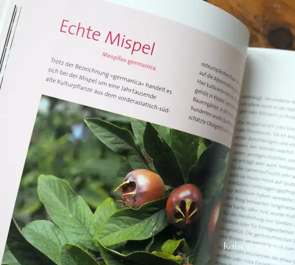 Wildfruechte-Kochbuch 4
