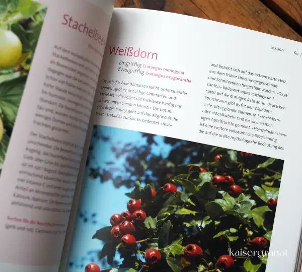 Wildfruechte-Kochbuch 9