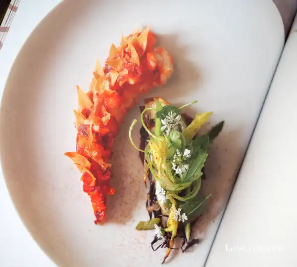 Das Kochbuch DNA Ducasse von Alain Ducasse 6 Das Kochbuch DNA Ducasse von Alain Ducasse 6