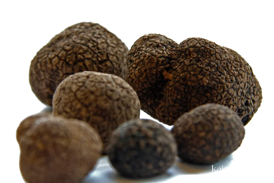 Chinesischer Trüffel (© Bosfood) Bild