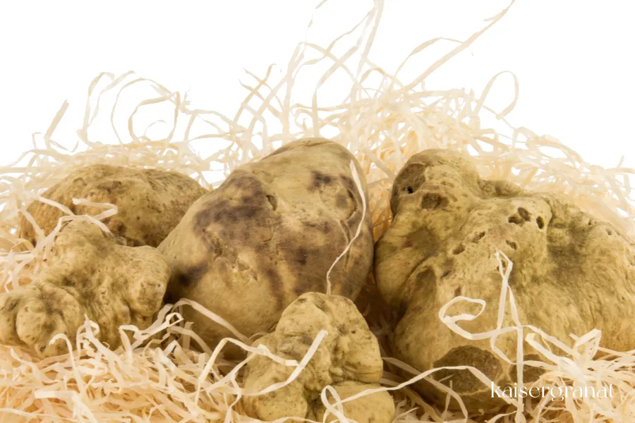 Trüffelsorten (© Bosfood) Bild