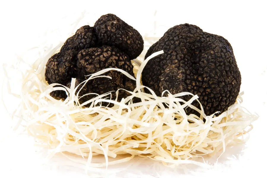 Schwarzer Trüffel (© Bosfood) Bild