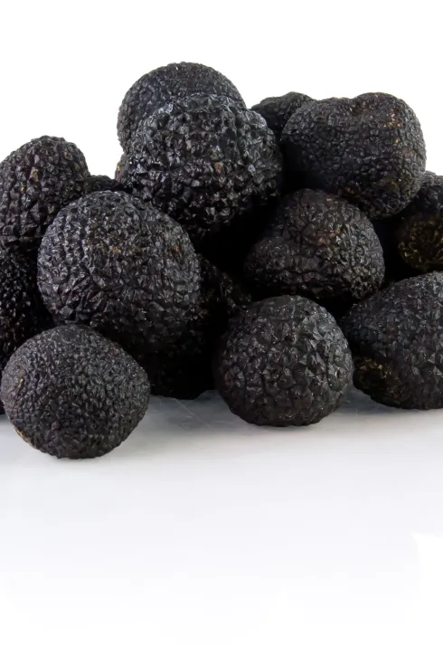 Winteredeltrüffel aus Australien (© Bosfood) Bild