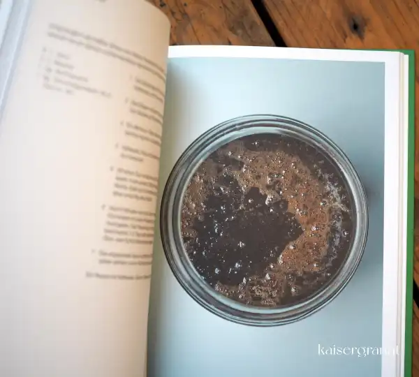 Das-Kochbuch-Fermentiert-Christoph-Marx-und-Lennart-Wiese-2