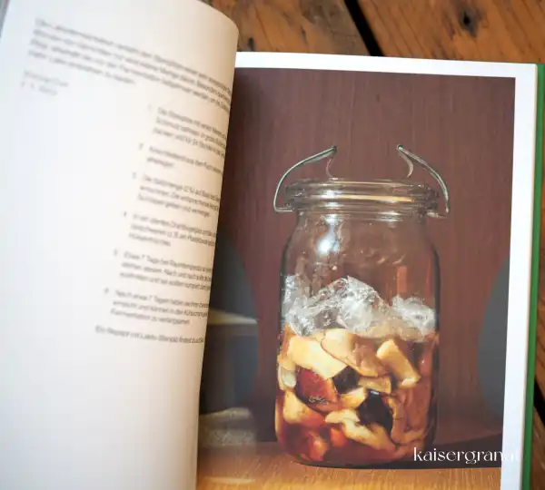 Das-Kochbuch-Fermentiert-Christoph-Marx-und-Lennart-Wiese-5