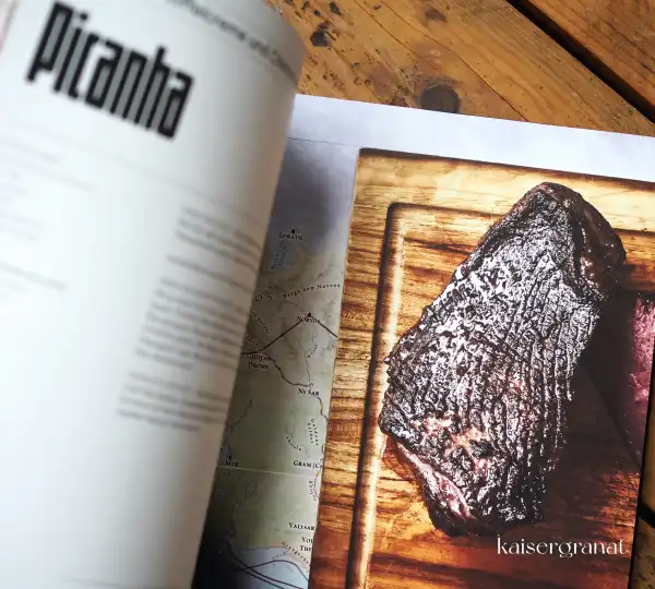 Fleisch-Codex-das-Kochbuch-von-Lucki-Picanha-Rezept