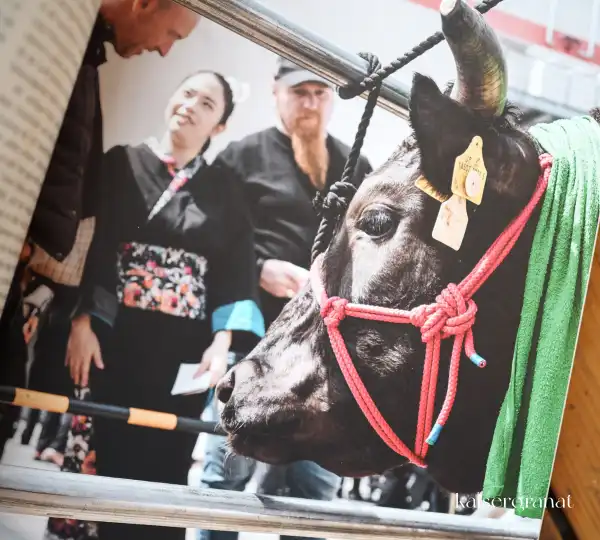 Das-Kochbuch-Wagyū-Ludwig-Maurer-Benjamin-Junck-Wolfgang-Otto-4