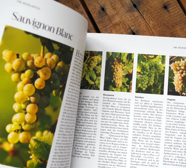 Das Buch Wein – die große Schule 1