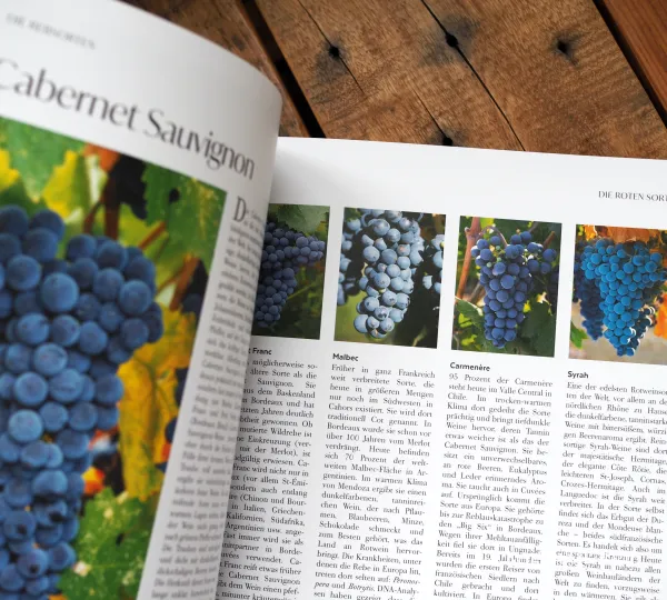 Das Buch Wein – die große Schule 2