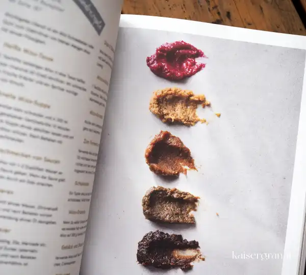 Das Kochbuch Koji Miso Shoyu Tempeh von Sibylle Hunger 1