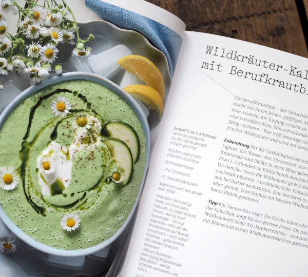 Wild. Kräuter. Vielfalt