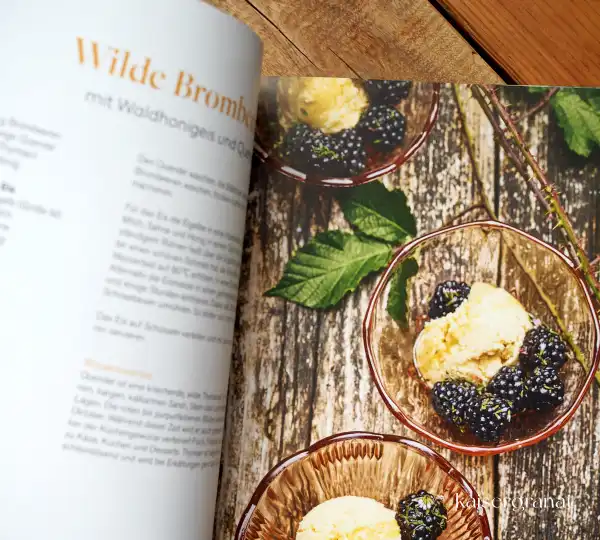 Das Kochbuch Aus dem Wald auf den Tisch von Daniel Schmidthaler 2