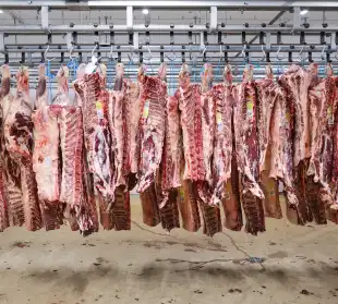 Die Denkfabrik der österreichischen Kulinarik