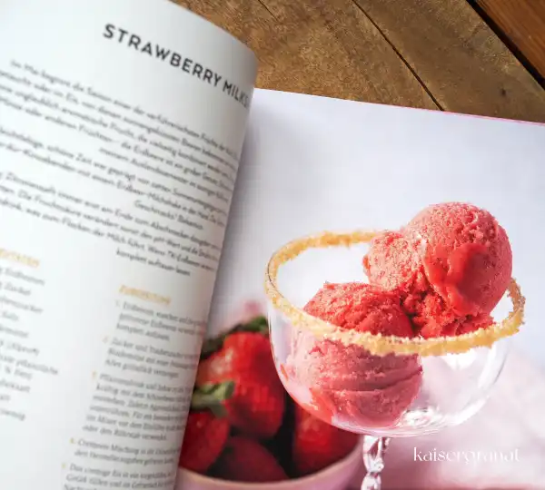 Das Kochbuch Die vegane Eis-Bibel von Lucy Allary 6